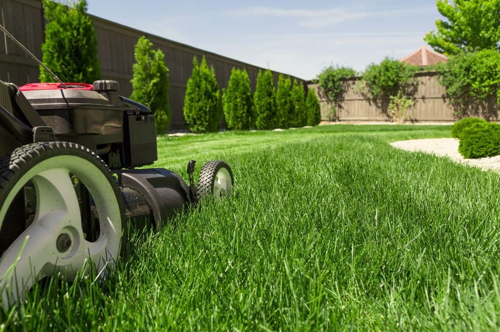 Hustý a zelený trávnik vďaka správnemu hnojeniu